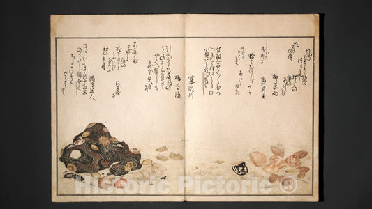 Art Print : Kitagawa Utamaro - Gifts of The Ebb Tide (The Shell Book) (Shiohi no tsuto) - Japan : Vintage Wall Art