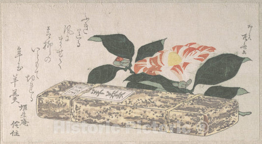 Art Print : Ry?ry?kyo Shinsai - Camellia Flower and Yokan (a sort of Bean Jelly) Wrapped in Bamboo Skin - Japan : Vintage Wall Art