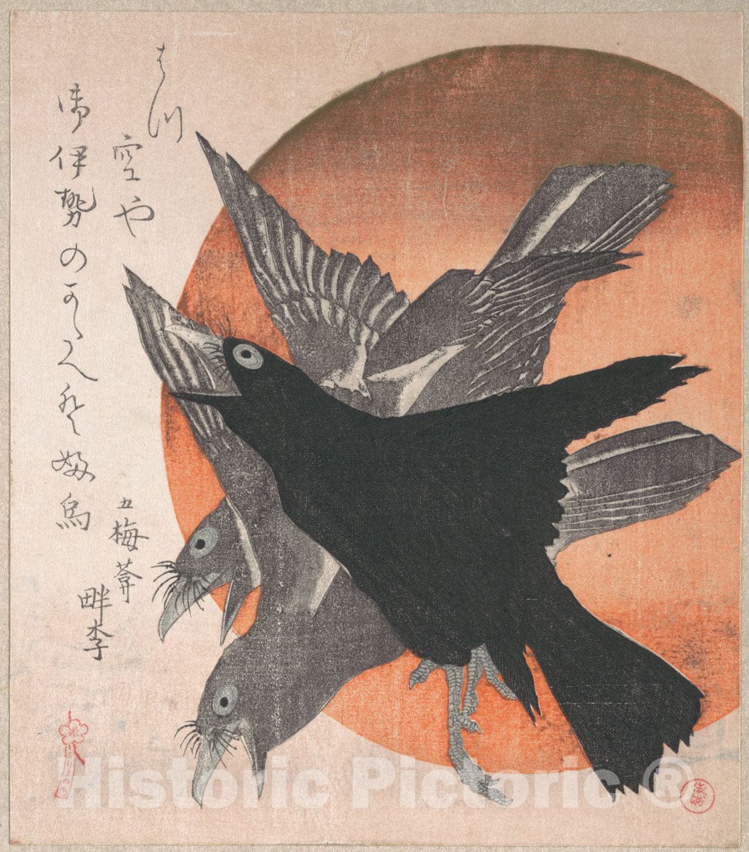 Art Print : Totoya Hokkei - Three Crows Against The Rising Sun, from The Series Three Sheets (Mihira no uchi) - Japan : Vintage Wall Art