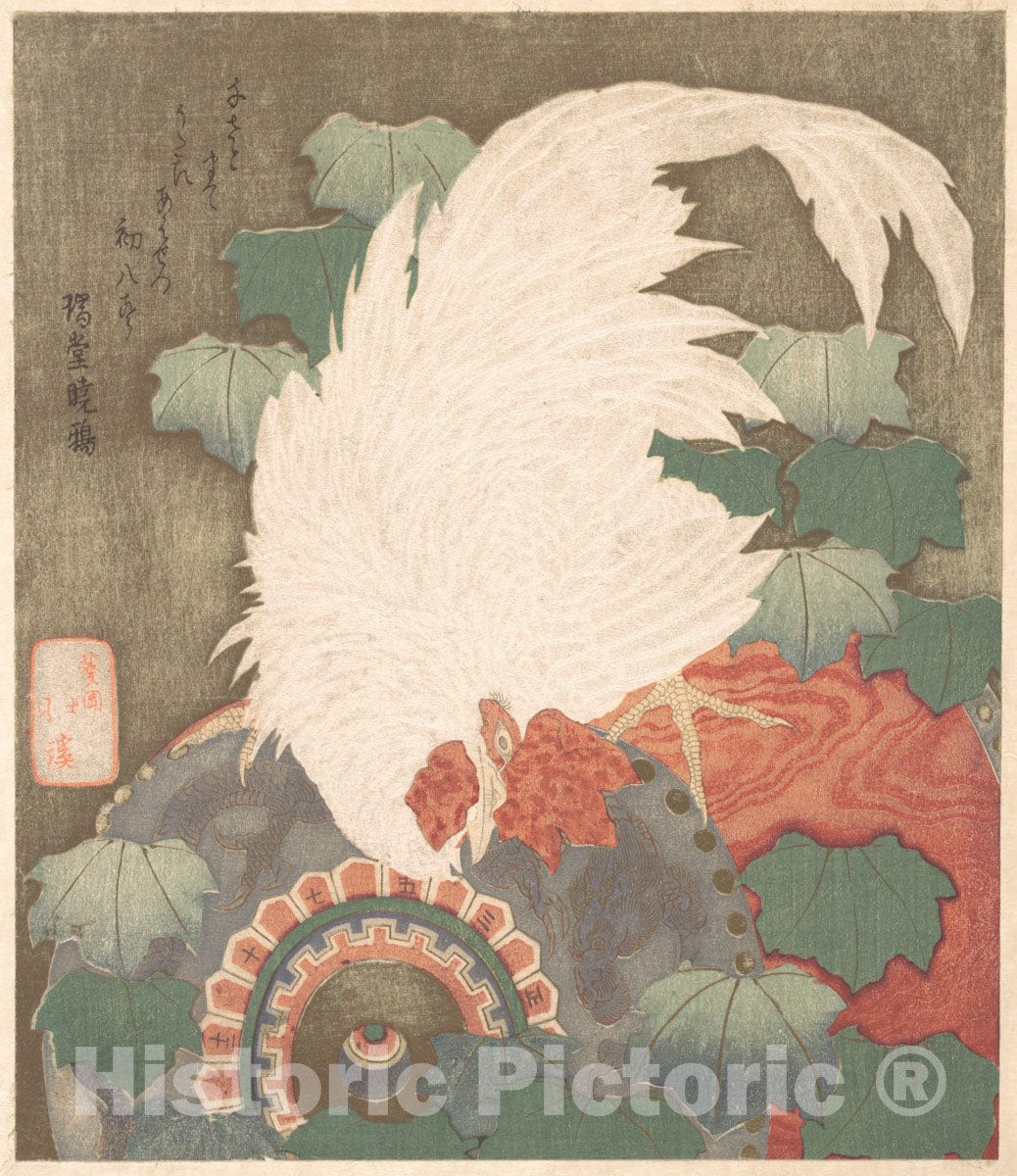 Art Print : Totoya Hokkei - Cock on Drum - Japan : Vintage Wall Art