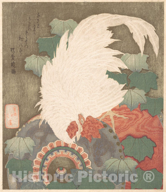 Art Print : Totoya Hokkei - Cock on Drum - Japan : Vintage Wall Art