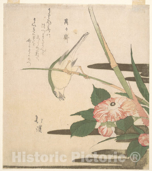 Art Print : Totoya Hokkei - Warbler and Camellia - Japan : Vintage Wall Art