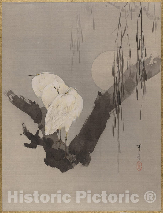 Art Print : Watanabe Seitei - Egrets in a Tree at Night - Japan : Vintage Wall Art