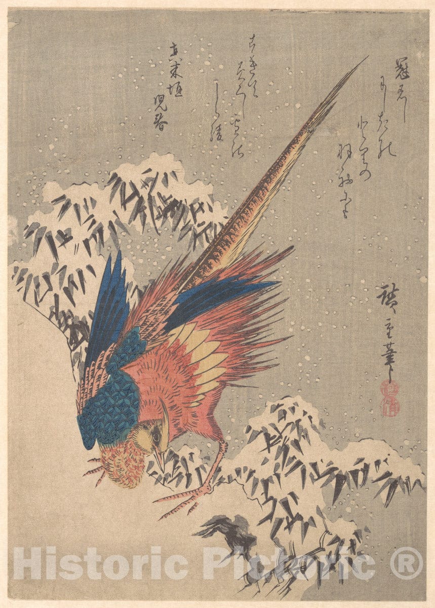Art Print : Utagawa Hiroshige - Pheasant Among Snow–Laden Bamboo on Hillside - Japan : Vintage Wall Art