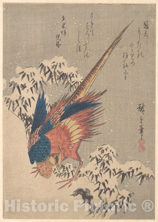 Art Print : Utagawa Hiroshige - Pheasant Among Snow–Laden Bamboo on Hillside - Japan : Vintage Wall Art