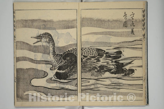 Art Print : Kany?sai - Kany?sai Picture Album (Kany?sai gafu) - Japan v.1 : Vintage Wall Art