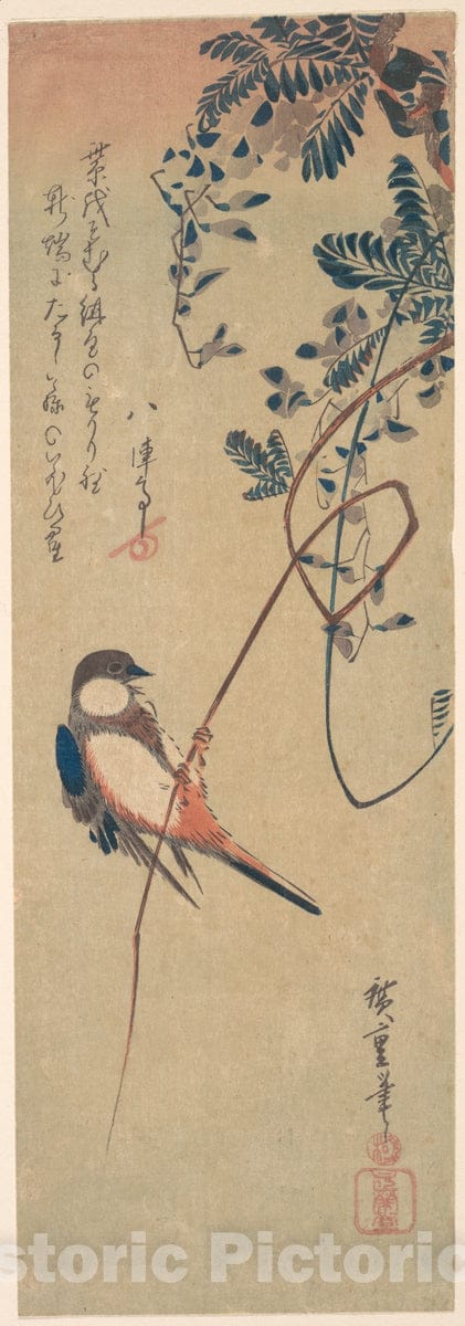 Art Print : Utagawa Hiroshige - Bird and Wisteria : Vintage Wall Art