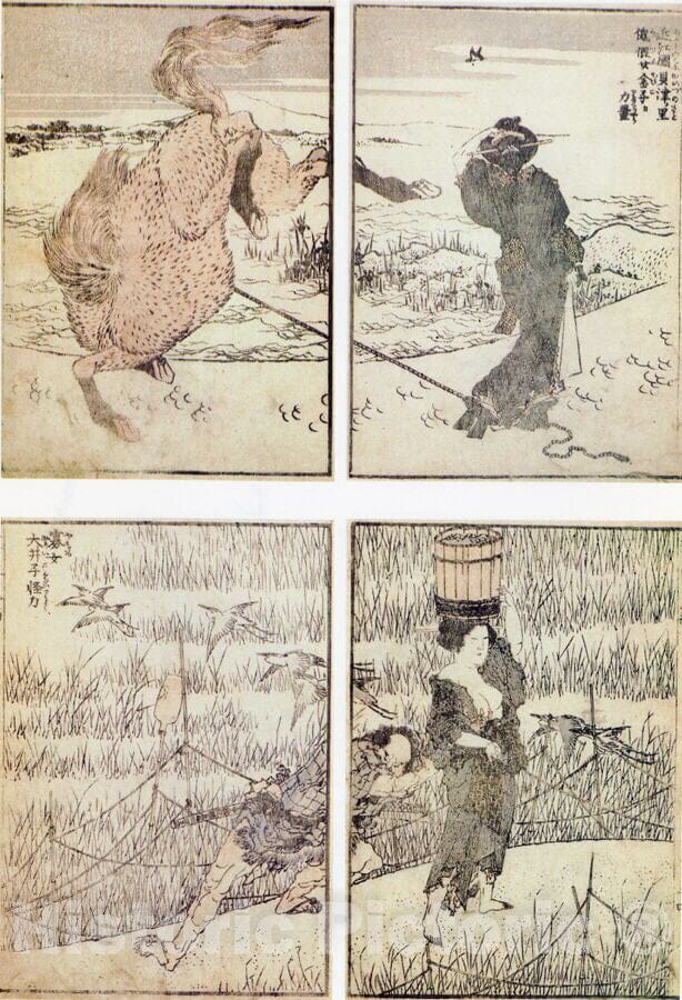 Art Print : Katsushika Hokusai - Random Sketches by Hokusai, Volumes 1 to 11 - Japan : Vintage Wall Art