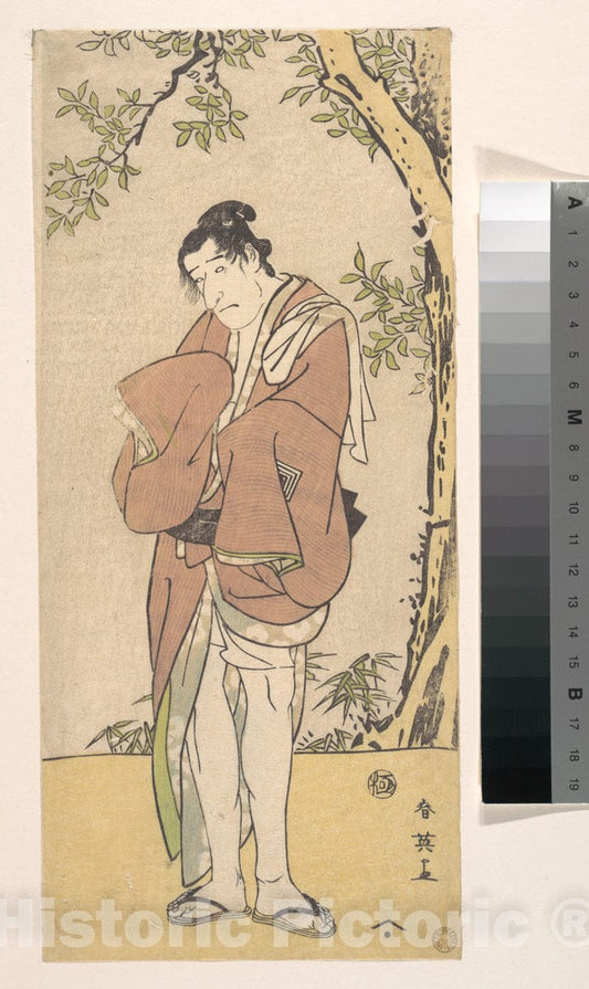 Art Print : Katsukawa Shun'ei - an Unidentified Actor as a Sad Person with Bare Legs and Feet - Japan : Vintage Wall Art