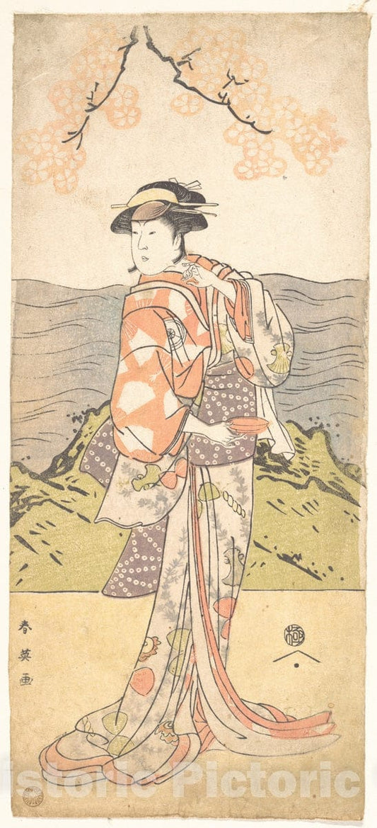 Art Print : Katsukawa Shun'ei - The Fourth Iwai Hanshiro as a Woman Standing Beneath a Cherry Tree - Japan : Vintage Wall Art