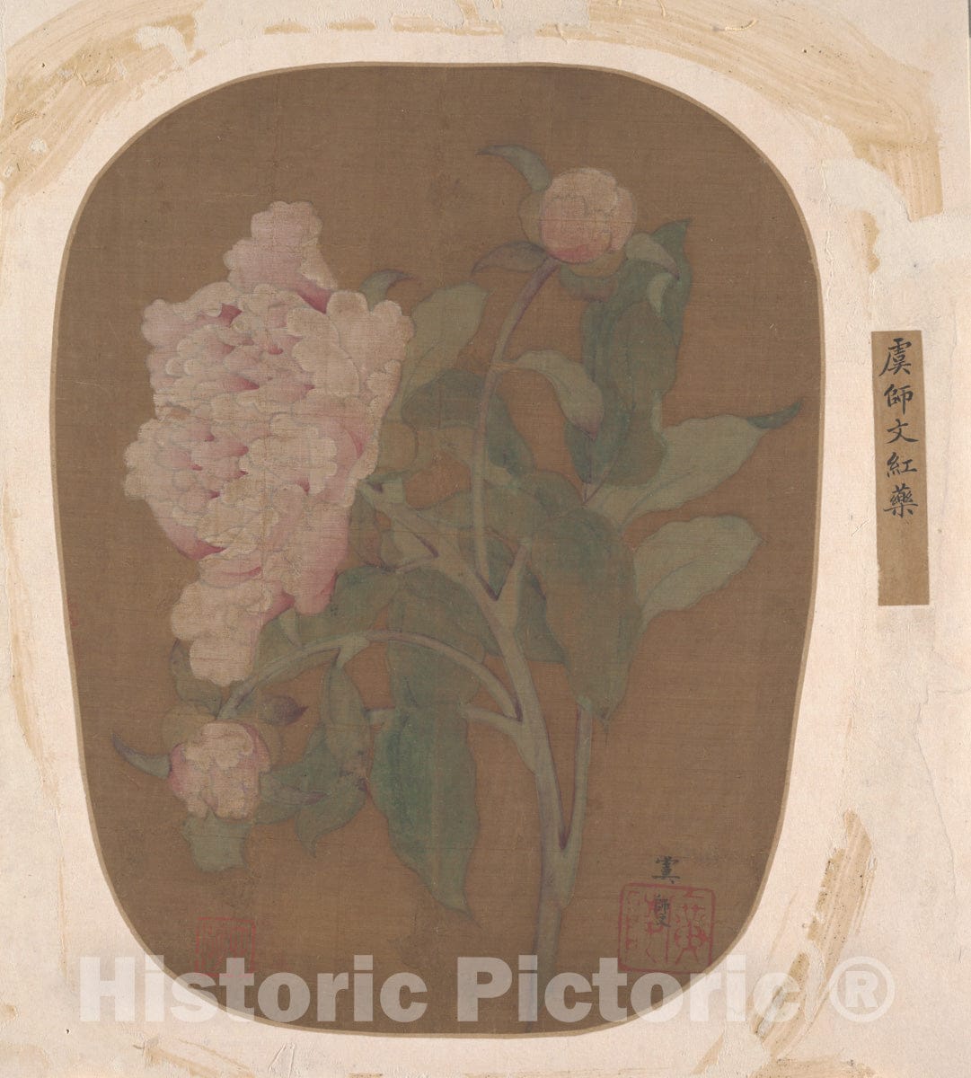Dragable Image