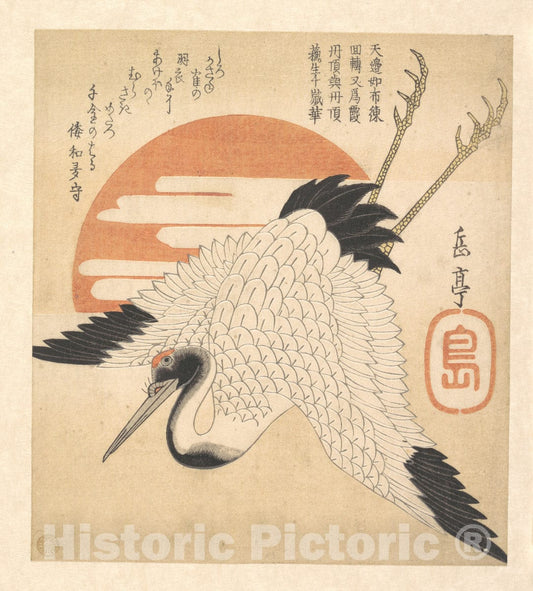 Art Print : Yashima Gakutei - White Crane Flying Across The Sun's Disc - Japan : Vintage Wall Art