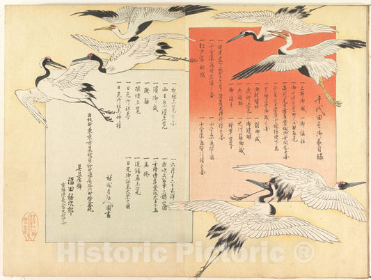 Art Print : Y?sh? (Hashimoto) Chikanobu - Chiyoda Castle (Album of Men) - Japan 5 : Vintage Wall Art