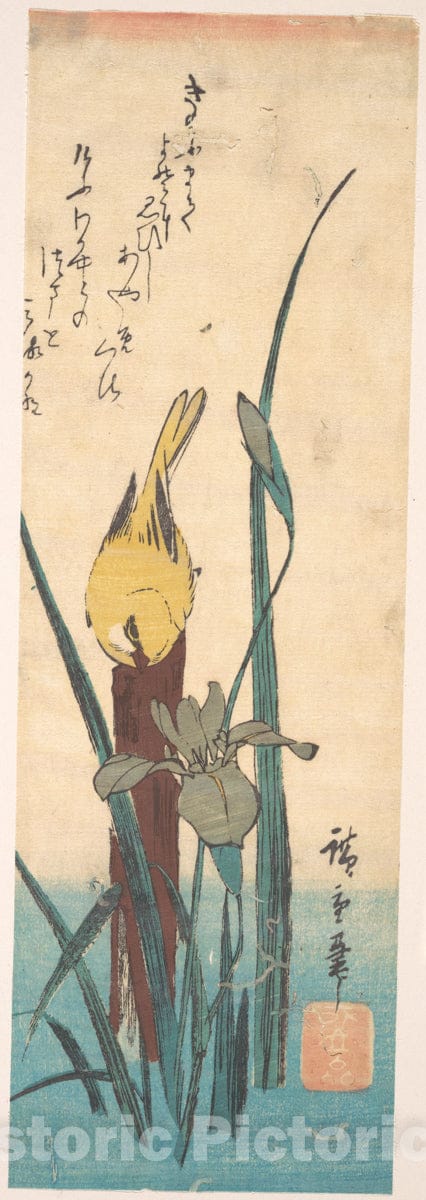 Art Print : Utagawa Hiroshige - Bird and Iris : Vintage Wall Art