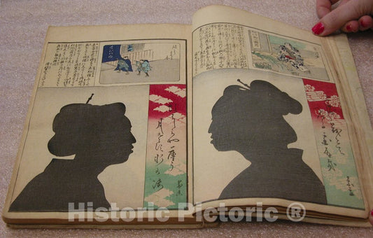 Art Print : Shibata Zeshin - Shadows Without Shading (Kuma naki Kage) - Japan : Vintage Wall Art