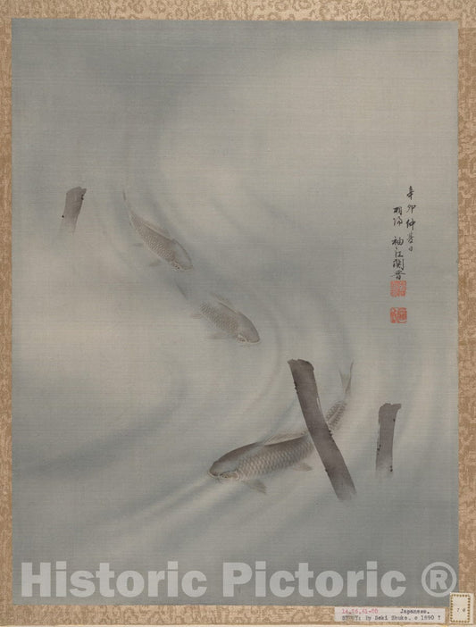 Art Print : Seki Sh?k? - Fishes Swimming - Japan 3 : Vintage Wall Art