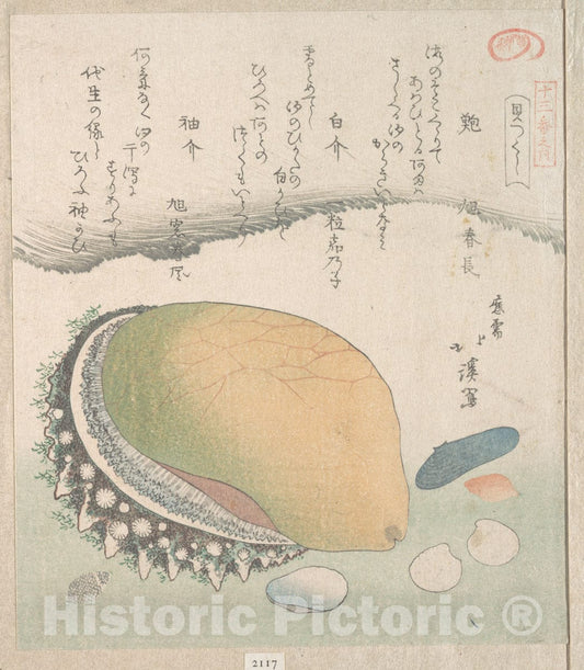 Art Print : Totoya Hokkei - Awabi (Ear-Shell) and Various Shells - Japan : Vintage Wall Art