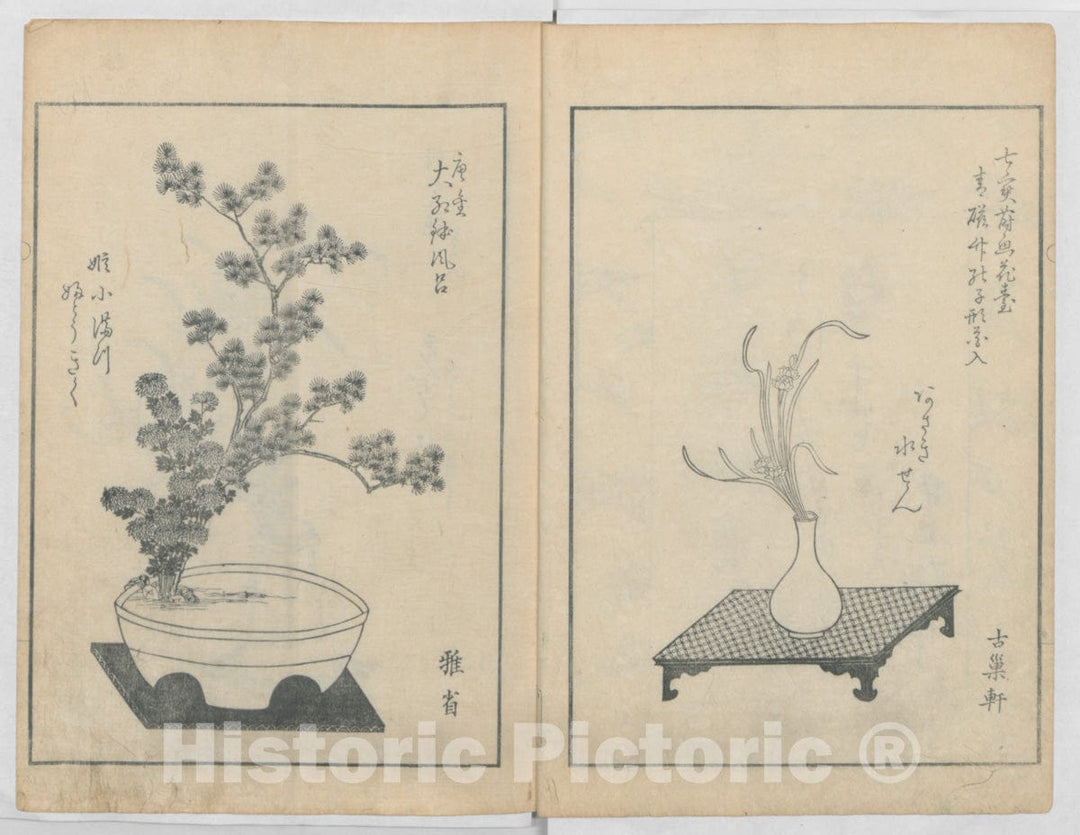 Art Print : Yoshida Tôgetsu - A Book on Flower Arrangement: Hare's-Foot Fern, Vols. 2 and 3 - Japan : Vintage Wall Art