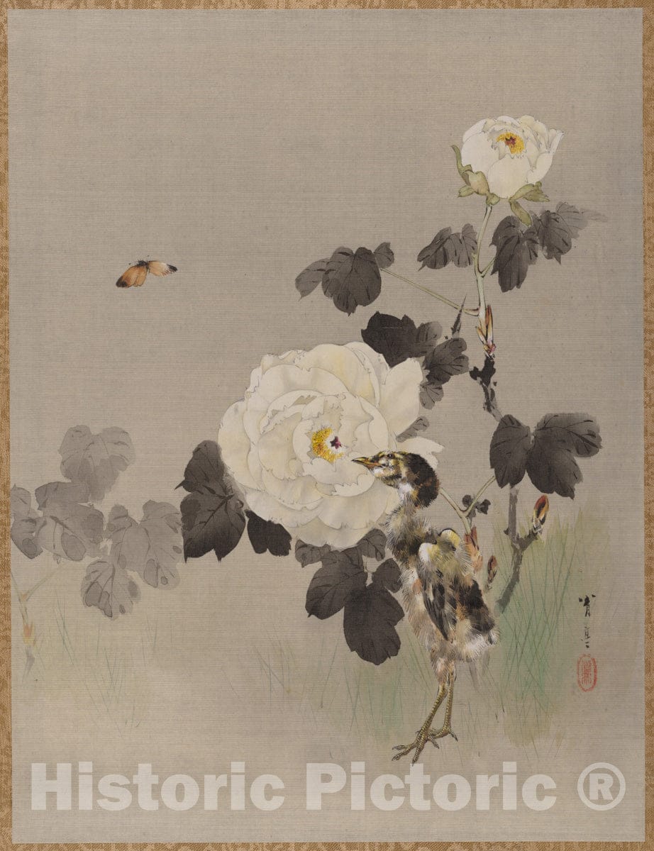 Art Print : Watanabe Seitei - Roses, Young Bird and a Butterfly - Japan : Vintage Wall Art
