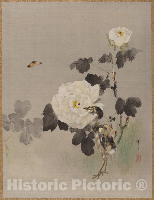 Art Print : Watanabe Seitei - Roses, Young Bird and a Butterfly - Japan : Vintage Wall Art