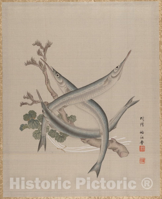 Art Print : Seki Sh?k? - Three Fishes and a Branch - Japan : Vintage Wall Art