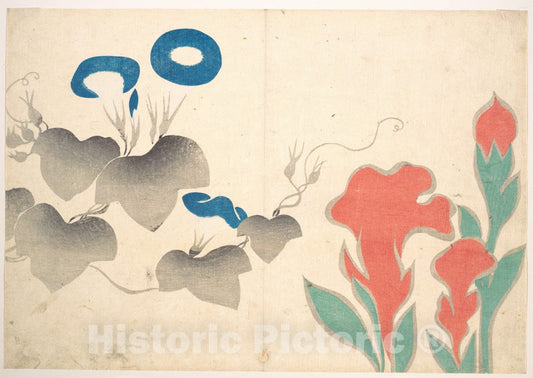 Art Print : Ogata K?rin - Design of Morning–Glory and Other Flowers - Japan : Vintage Wall Art