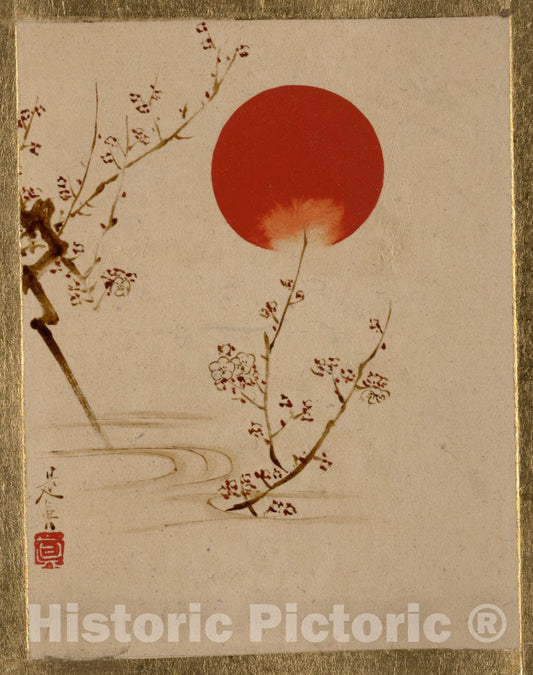 Art Print : Shibata Zeshin - Sun and Plum Branches - Japan : Vintage Wall Art