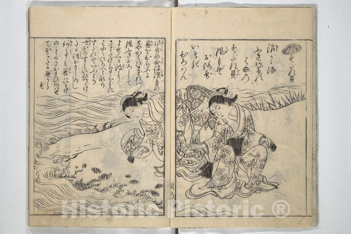Art Print : Nishikawa Sukenobu - Picture Book of Poems on Shells (Ky?kun ch?kai ehon Kai Kasen) - Japan : Vintage Wall Art