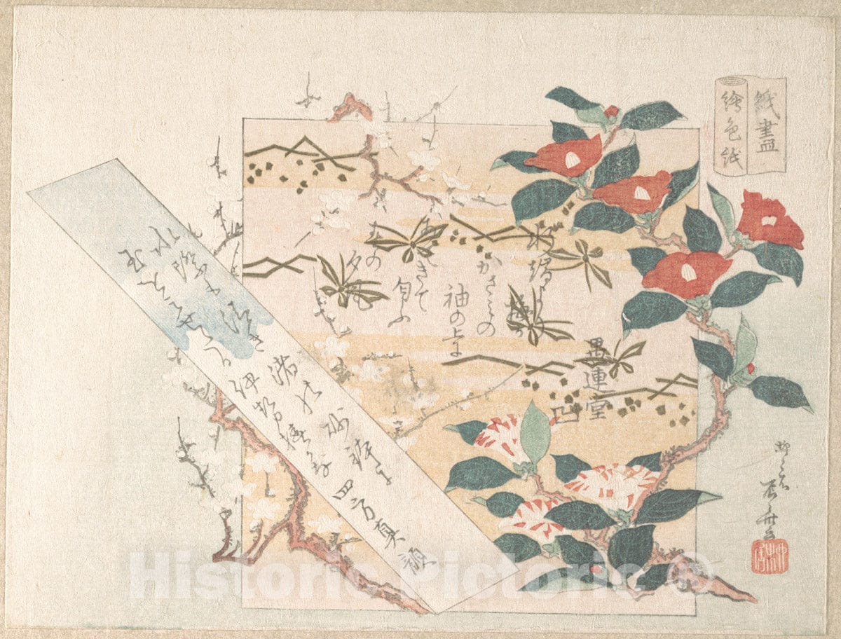 Art Print : Ry?ry?kyo Shinsai - Designs of Writing-Paper with Flowers - Japan : Vintage Wall Art