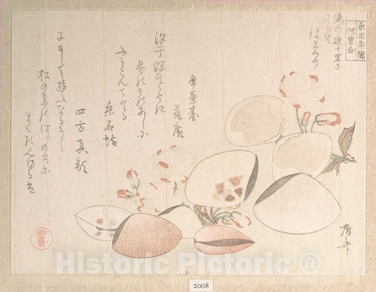 Art Print : Ry?ry?kyo Shinsai - Cherry Blossoms and Shells - Japan : Vintage Wall Art