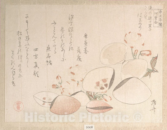 Art Print : Ry?ry?kyo Shinsai - Cherry Blossoms and Shells - Japan : Vintage Wall Art