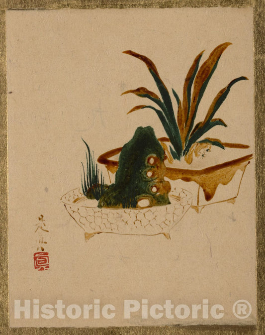 Art Print : Shibata Zeshin - Flowers in Jardenierres - Japan : Vintage Wall Art