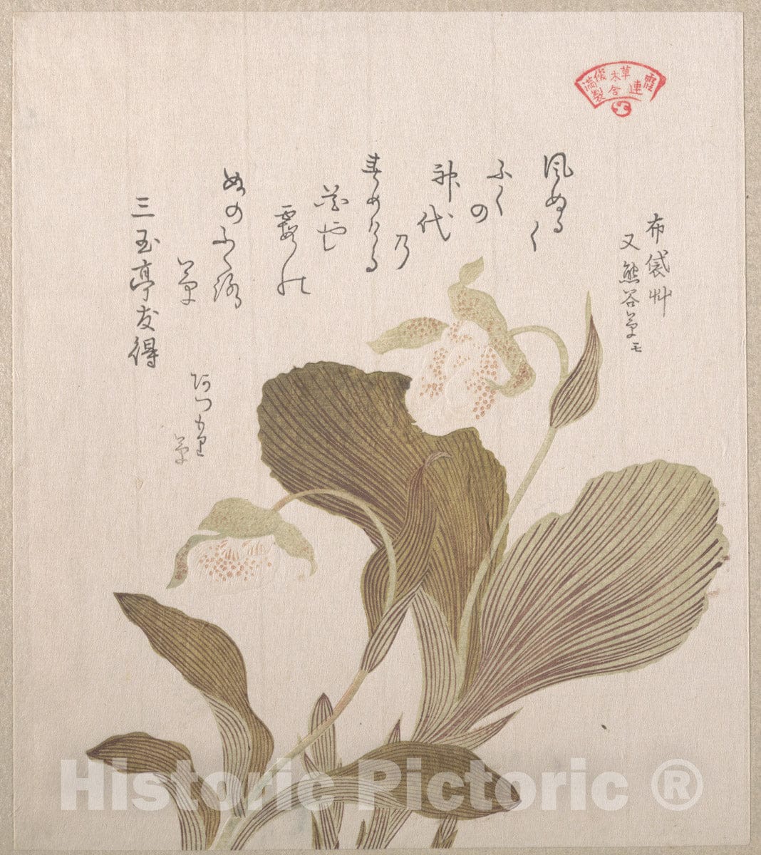 Art Print : Kubo Shunman - Hotei Flowers - Japan : Vintage Wall Art