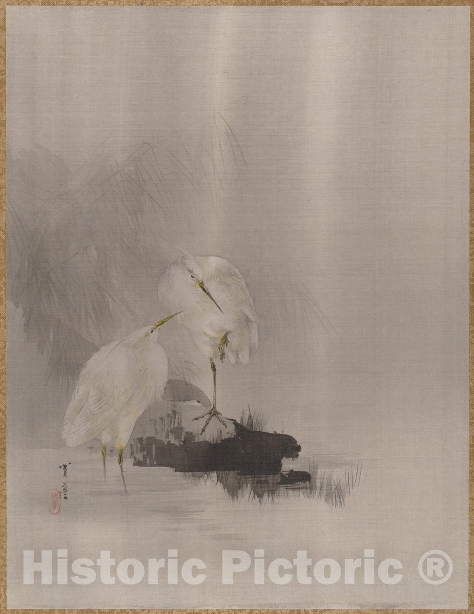 Art Print : Watanabe Seitei - Egrets at The Water's Edge - Japan : Vintage Wall Art
