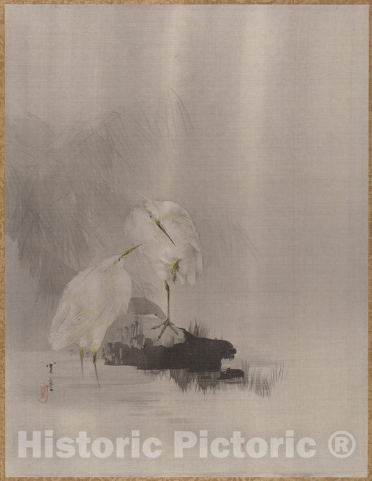 Art Print : Watanabe Seitei - Egrets at The Water's Edge - Japan : Vintage Wall Art