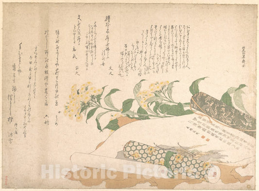 Art Print : Kitao Shigemasa - Daisies and Two Makimono - Japan : Vintage Wall Art