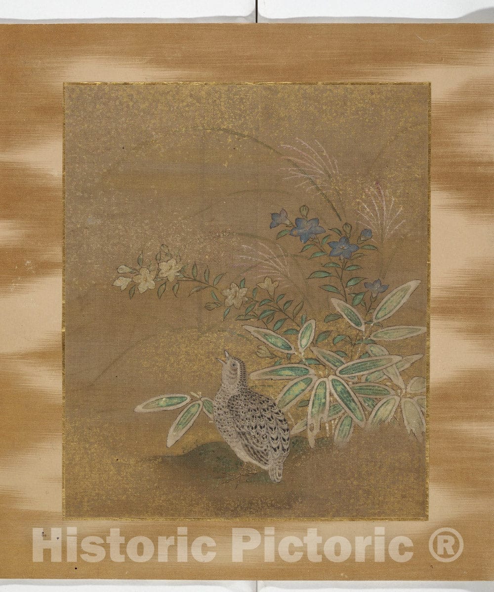 Art Print : TOSA Mitsunari - Album of Birds and Flowers and Other Subjects - Japan : Vintage Wall Art