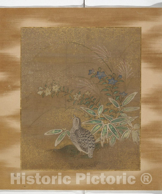 Art Print : TOSA Mitsunari - Album of Birds and Flowers and Other Subjects - Japan : Vintage Wall Art