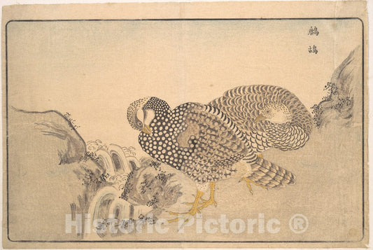 Art Print : Kuwagata Keisai - Zhe gu - Japan : Vintage Wall Art