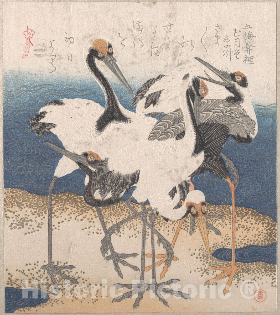 Art Print : Totoya Hokkei - Five Cranes by The Water’s Edge, from The Series Three Sheets (Mihira no uchi) - Japan : Vintage Wall Art