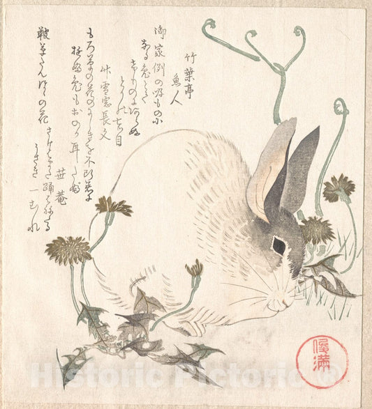 Art Print : Kubo Shunman - Hare and Dandelion? - Japan : Vintage Wall Art