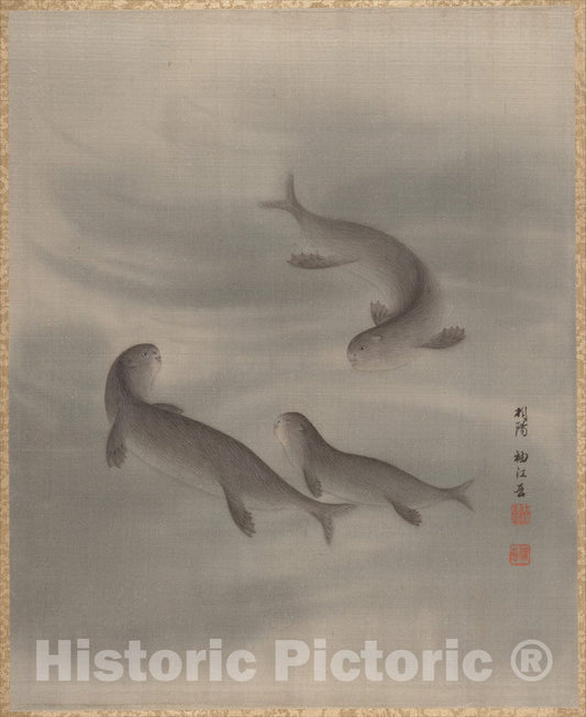 Art Print : Seki Sh?k? - Otters Swimming - Japan : Vintage Wall Art