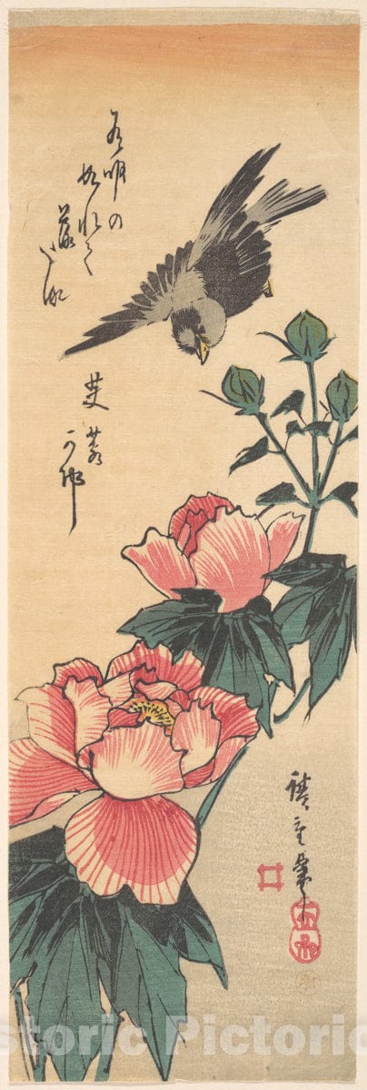 Art Print : Utagawa Hiroshige - Sparrow and Hibiscus : Vintage Wall Art