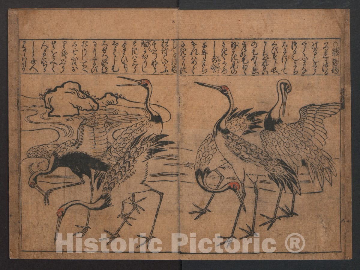 Art Print : Hishikawa Moronobu - Birds and Flowers - Japan : Vintage Wall Art