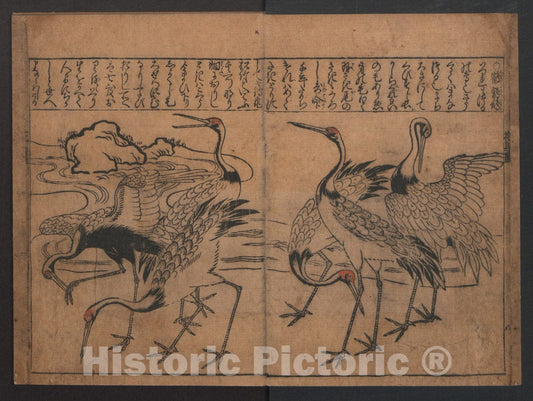 Art Print : Hishikawa Moronobu - Birds and Flowers - Japan : Vintage Wall Art