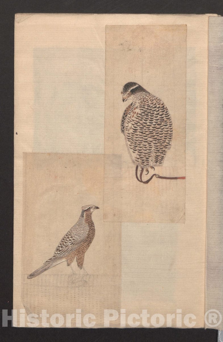 Art Print : Unidentified Artist - Album of Sketches for Lacquer Decoration - Japan : Vintage Wall Art