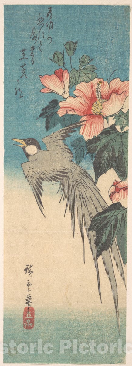 Art Print : Utagawa Hiroshige - Hibiscus Mutabilis and Long-Tailed Bird : Vintage Wall Art