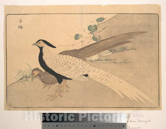 Art Print : Kuwagata Keisai - Bai Xian - Japan : Vintage Wall Art
