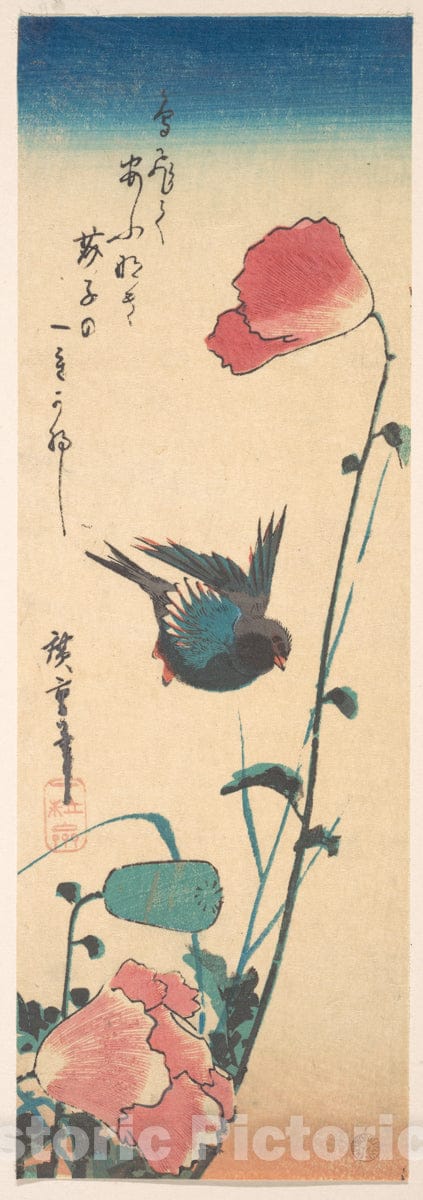 Art Print : Utagawa Hiroshige - Poppy and Sparrow : Vintage Wall Art