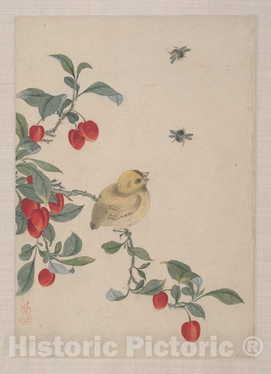 Art Print : Yi Zhai - Birds, Insects and Flowers - China : Vintage Wall Art